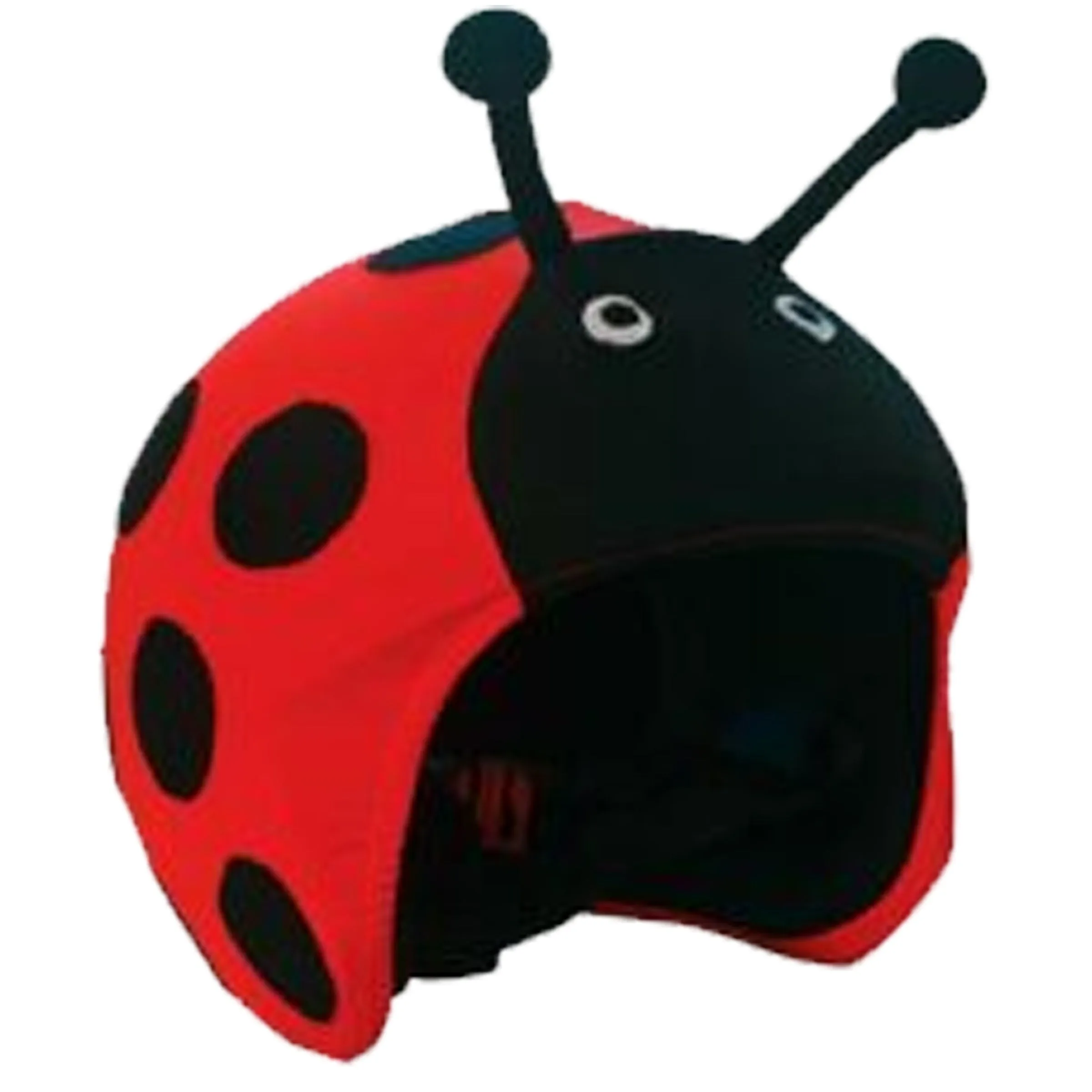 Ladybug
